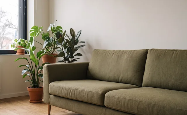 Sofa and plants in the M8S private office